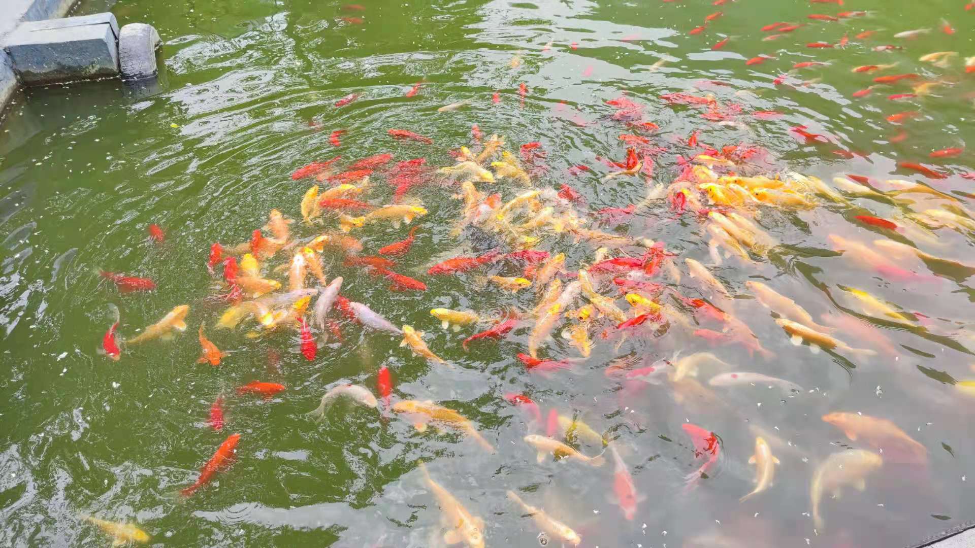 微信图片_202106151743034.jpg 微信图片_202106151743034.jpg